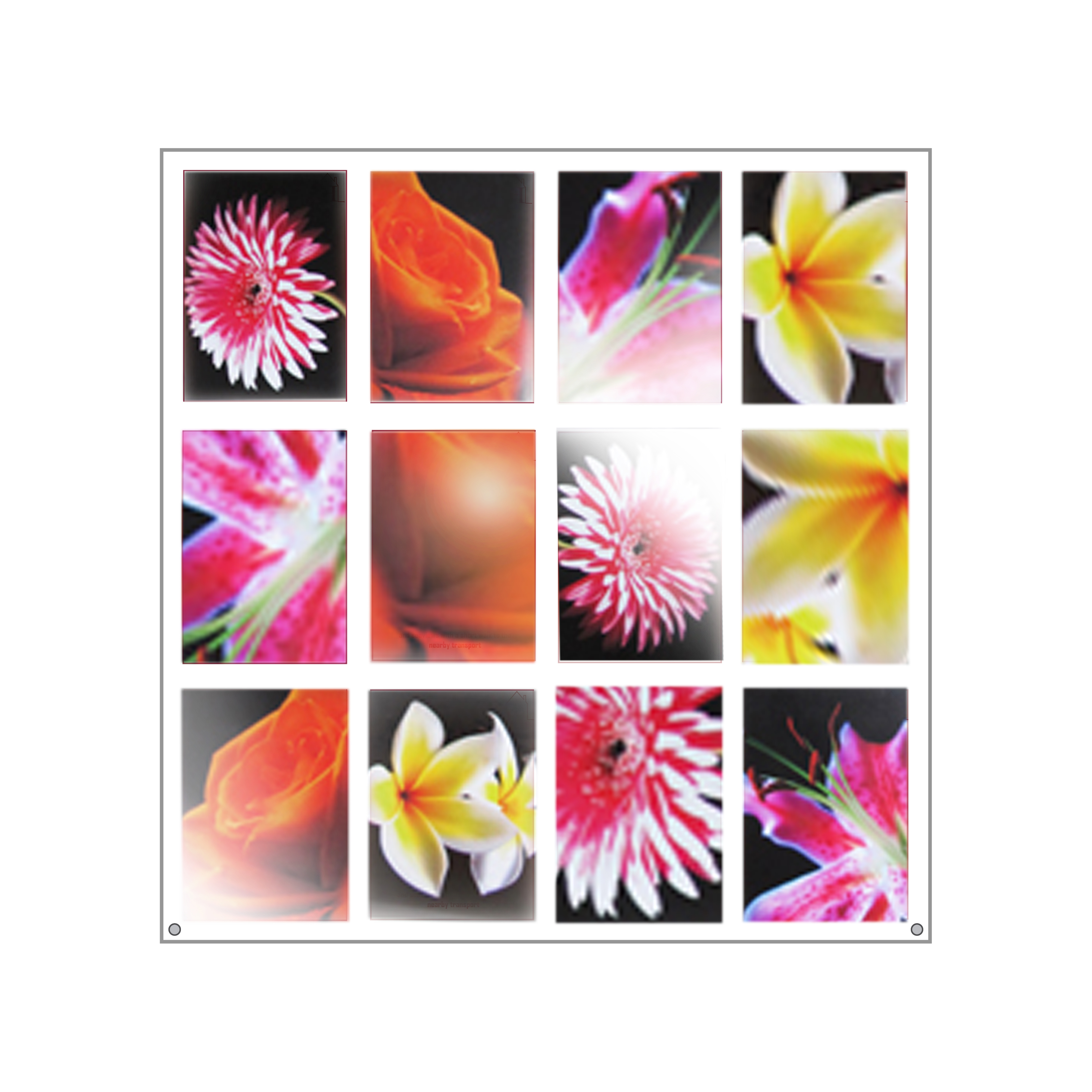 PW12V: VALUE Wall mount panels fitted with poster holders